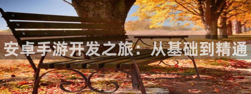 大神吧28注册：安卓手游开发之旅：从基础到精通