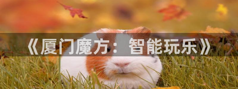 银河(galaxy)官网官网下载：《厦门魔方：智能玩乐》