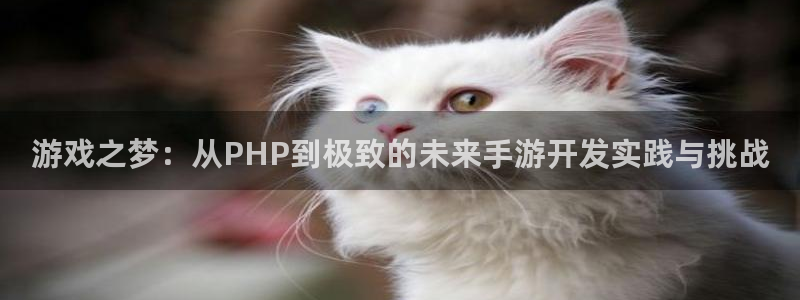 28大神预测群号码：游戏之梦：从PHP到极致的未来手游开发实