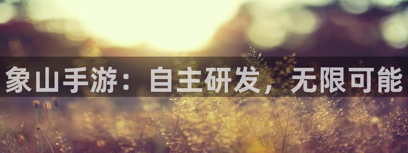 大神吧论坛28预测：象山手游：自主研发，无限可能